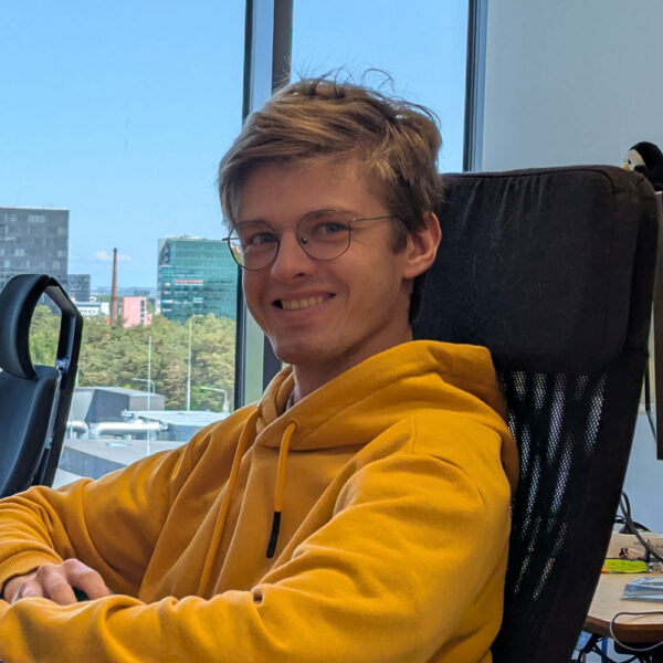 Hendrik Olesk, Krakuli tarkvaraarendaja